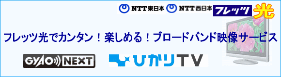 ギャオネクスト+ひかりtv